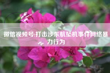 微信视频号:打击涉东航坠机事件网络暴力行为