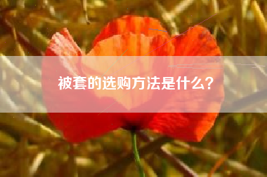 被套的选购方法是什么？