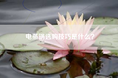 电蒸锅选购技巧是什么？