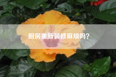 厨房重新装修麻烦吗？