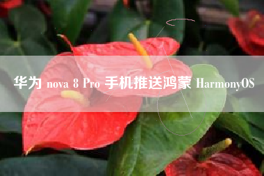 华为 nova 8 Pro 手机推送鸿蒙 HarmonyOS