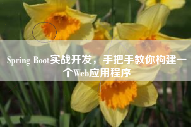 Spring Boot实战开发，手把手教你构建一个Web应用程序