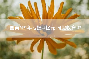 国美2021年亏损44亿元,同比收窄 37