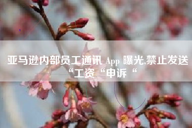 亚马逊内部员工通讯 App 曝光,禁止发送“工资“申诉“