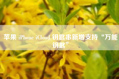 苹果 iPhone iCloud 钥匙串新增支持“万能钥匙”