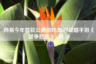 网易今年首款公测游戏,即时战略手游《战争怒吼》5 月 26 