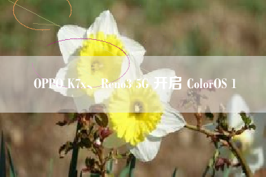 OPPO K7x、Reno3 5G 开启 ColorOS 1