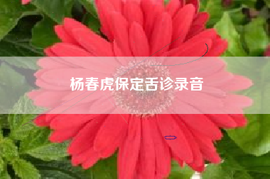 杨春虎保定舌诊录音