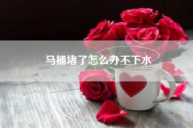 马桶堵了怎么办不下水