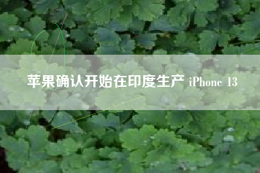 苹果确认开始在印度生产 iPhone 13