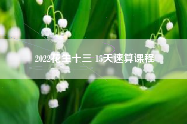 2022花生十三 15天速算课程