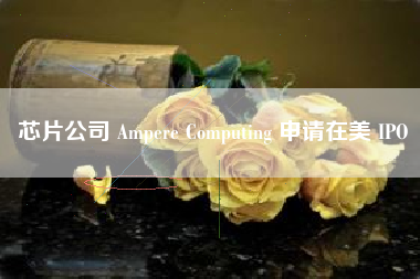 芯片公司 Ampere Computing 申请在美 IPO