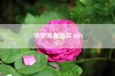 华擎发布新款 BOX