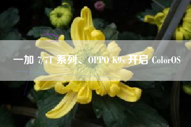 一加 7/7T 系列、OPPO K9s 开启 ColorOS