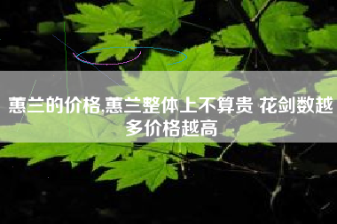 蕙兰的价格,蕙兰整体上不算贵 花剑数越多价格越高