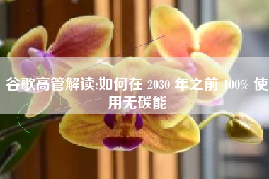 谷歌高管解读:如何在 2030 年之前 100% 使用无碳能