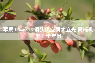苹果 iPhone 13 镜头供应商大立光:高端机型下半年出