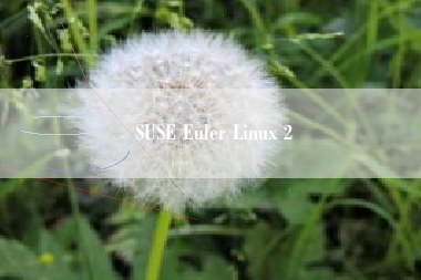 SUSE Euler Linux 2