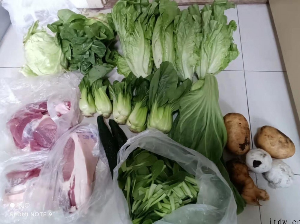 上海集成电路设计企业呼吁:尽快解决物流和运输瓶颈
