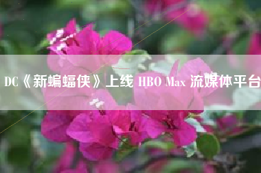 DC《新蝙蝠侠》上线 HBO Max 流媒体平台