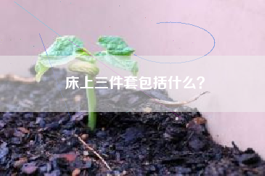 床上三件套包括什么？