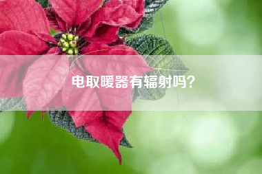 电取暖器有辐射吗？