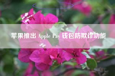 苹果推出 Apple Pay 钱包防欺诈功能