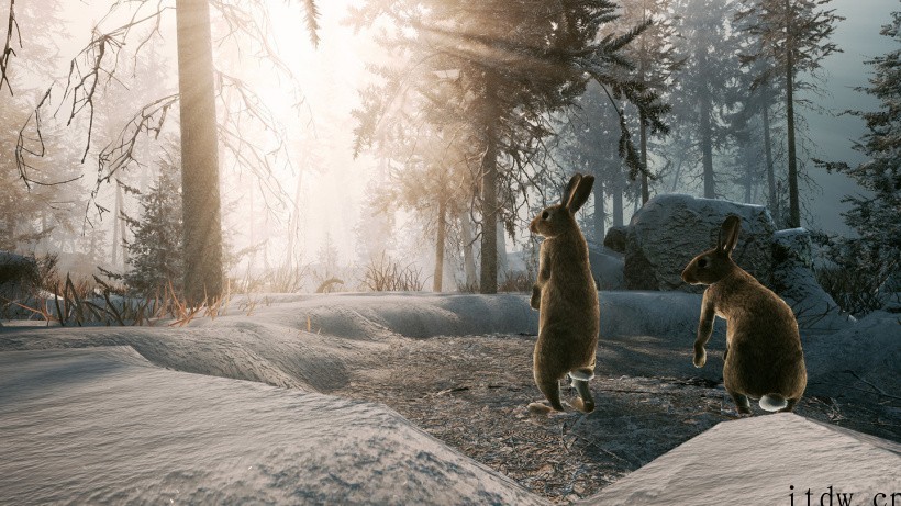 沙盒生存游戏《冬日幸存者》试玩版上线 Steam,第二季度发