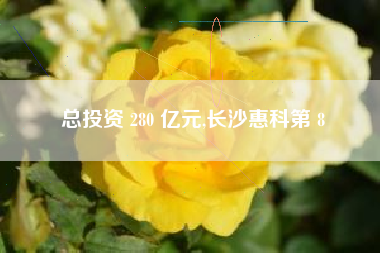 总投资 280 亿元,长沙惠科第 8