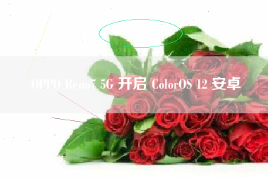 OPPO Reno7 5G 开启 ColorOS 12 安卓