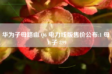 华为子母路由 Q6 电力线版售价公布:1 母 1 子 899