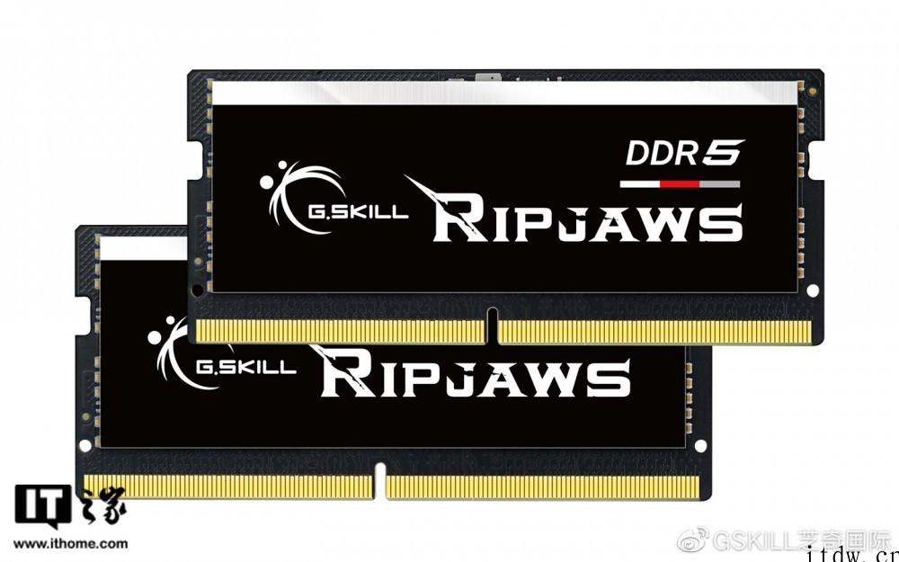 芝奇 Ripjaws DDR5 SO