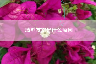 墙壁发霉是什么原因