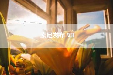 索尼发布 WH