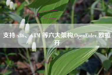 支持 x86、ARM 等六大架构,OpenEuler 欧拉开