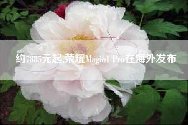 约7885元起,荣耀Magic4 Pro在海外发布