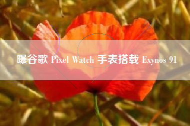 曝谷歌 Pixel Watch 手表搭载 Exynos 91