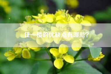 住一楼的优缺点有哪些？