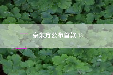 京东方公布首款 15