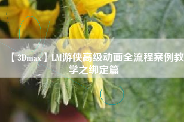 【3Dmax】LM游侠高级动画全流程案例教学之绑定篇