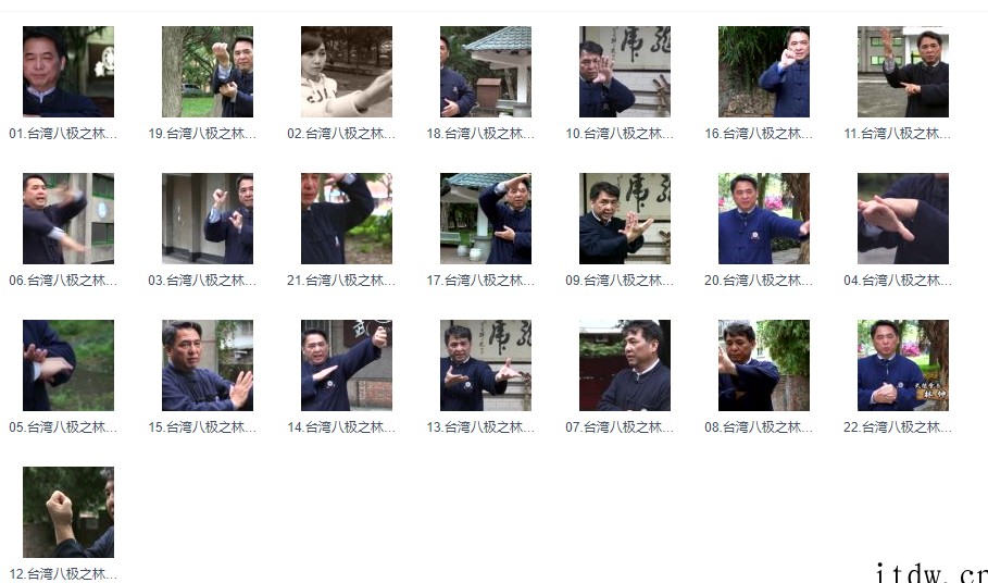 一天一式八极拳视频教程