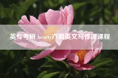 英专考研 hearty六周英文写作课课程