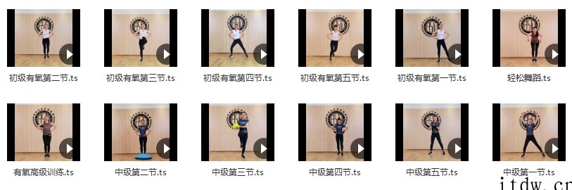 12节有氧操 孙晶团队 张丹丹dance party有氧操+小工具