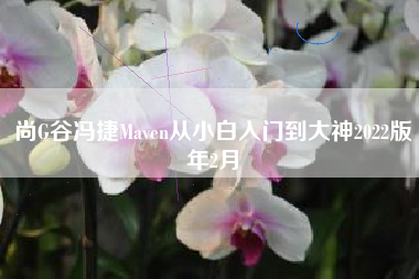 尚G谷冯捷Maven从小白入门到大神2022版年2月