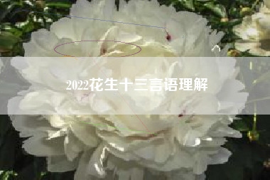 2022花生十三言语理解