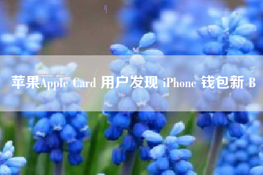 苹果Apple Card 用户发现 iPhone 钱包新 B