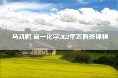 马凯鹏 高一化学2022年寒假班课程