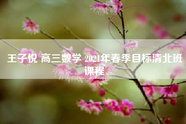 王子悦 高三数学 2021年春季目标清北班课程
