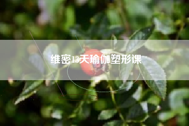 维密13天瑜伽塑形课