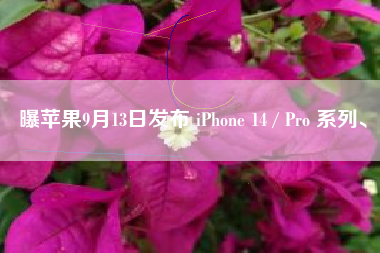 曝苹果9月13日发布 iPhone 14 / Pro 系列、